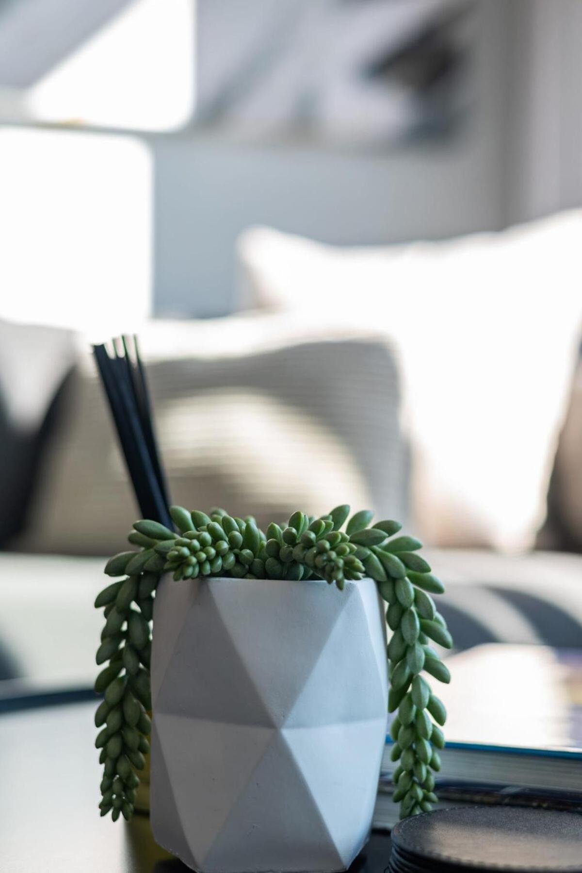 Cosy Couples Retreat Apartment! * Cape Town